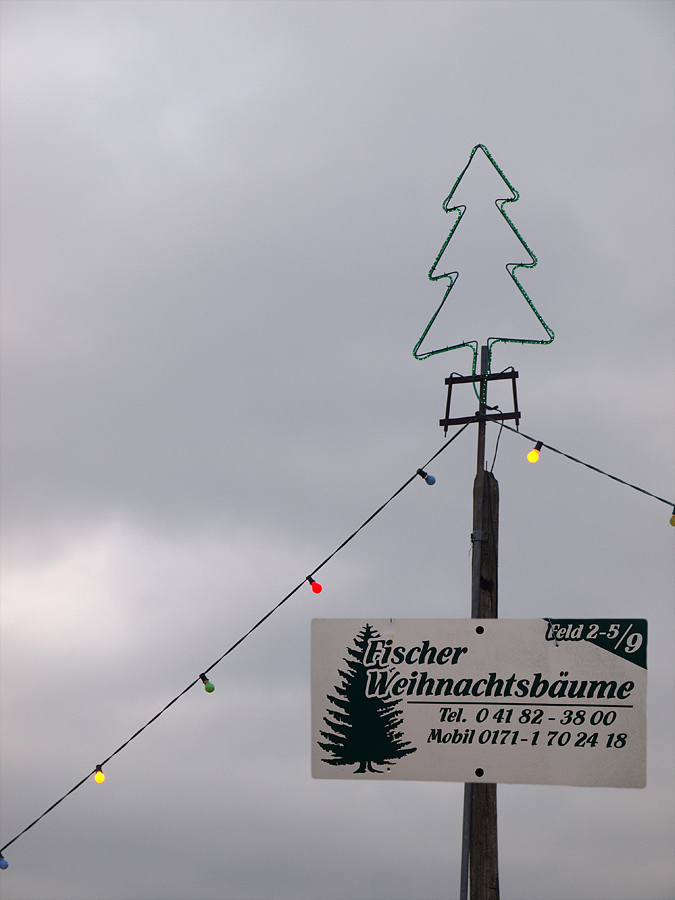 weihnachtsbaum selber schlagen hamburg 28 images weihnachtsbaum selber schlagen hamburg 28 images