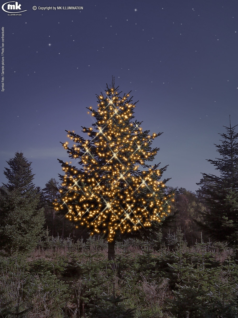 weihnachtsbaum selber schlagen hamburg 28 images weihnachtsbaum selber schlagen hamburg 28 images