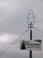 Weihnachtsbäume vom Hof Fischer