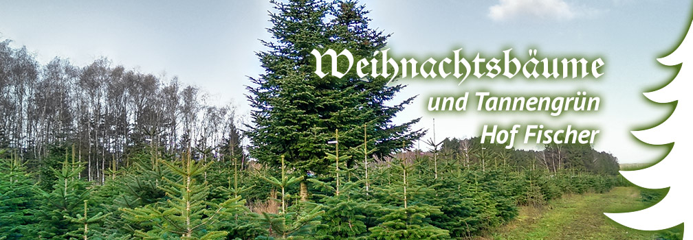 Weihnachtsbäume Hof Fischer